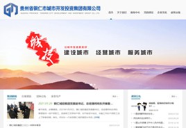 蓬溪城市开发投资集团有限公司