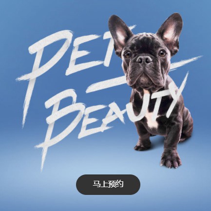 蓬溪宠物中心小程序开发