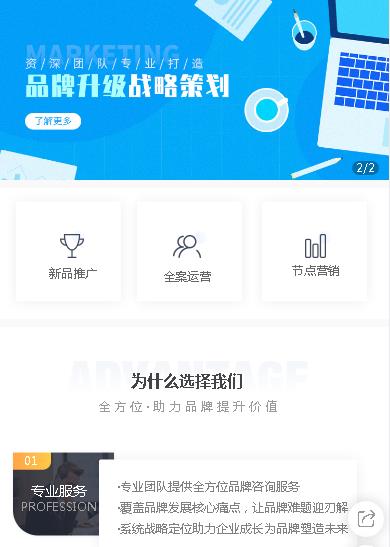 蓬溪咨询策划小程序开发